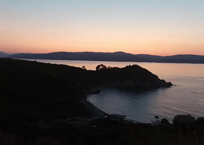 Lägenhet Maison Strelitzia 