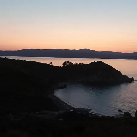 Apartament Maison Strelitzia 