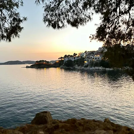 Apartament Maison Strelitzia 