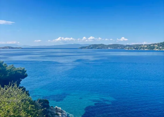 Apartament Maison Strelitzia 