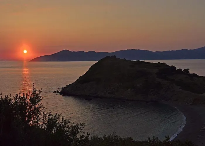 Apartmán Maison Strelitzia 