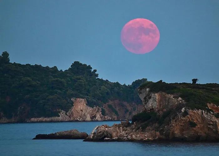 Apartmán Maison Strelitzia 